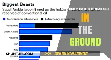Global Fossil Fuel Reserves: Which Nation Holds the Largest Untapped Resources?