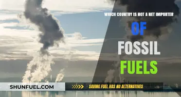 Surprising Nations: Which Country Exports More Fossil Fuels Than It Imports?