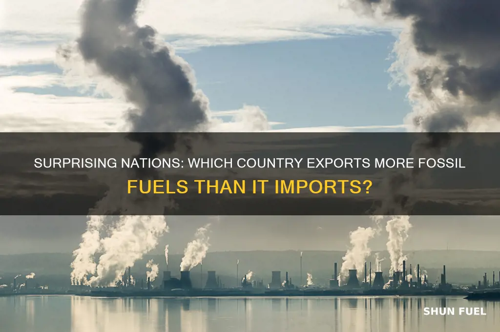 which country is not a net importer of fossil fuels