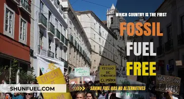 Pioneering Green Energy: The First Fossil Fuel-Free Nation Revealed