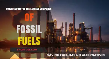 Global Fossil Fuel Dominance: Which Country Leads the Energy Race?