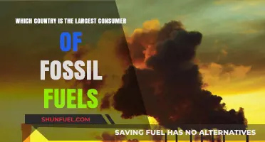 Global Fossil Fuel Consumption: Which Nation Leads the World?