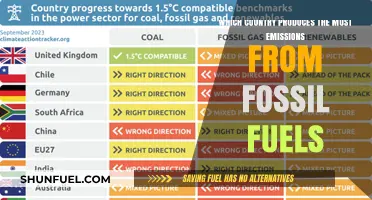 Global Emissions Leader: Which Nation Tops Fossil Fuel Pollution?