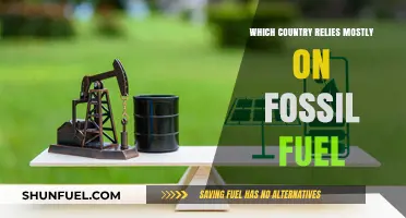 Fossil Fuel Dependence: Which Nation Relies Heaviest on Non-Renewables?