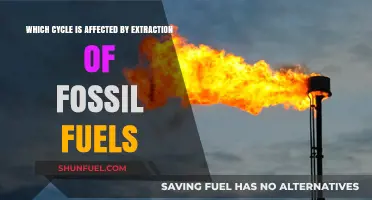 Fossil Fuel Extraction's Impact on Earth's Natural Cycles Explained