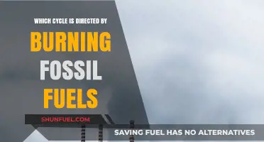 Fossil Fuel Combustion's Impact: Driving the Carbon Cycle's Acceleration