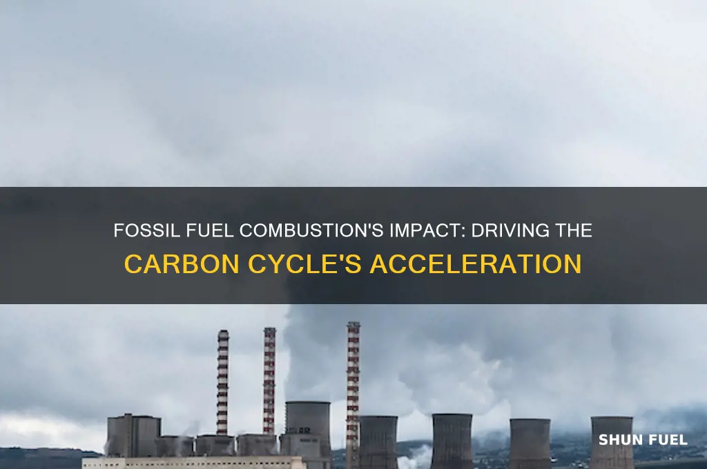 which cycle is directed by burning fossil fuels