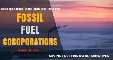 Fossil Fuel Money in Politics: Which Dem Candidates Accept Donations?