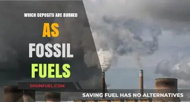 Fossil Fuels: Uncovering the Ancient Deposits That Power Our World