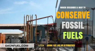 Sustainable Practices: Smart Strategies to Reduce Fossil Fuel Consumption