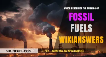 Understanding the Environmental Impact of Burning Fossil Fuels: A WikiAnswers Guide