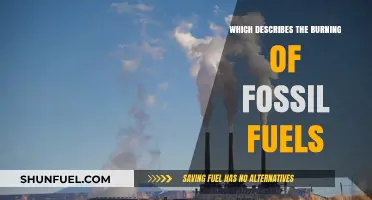 The Environmental Impact of Burning Fossil Fuels: Causes and Consequences