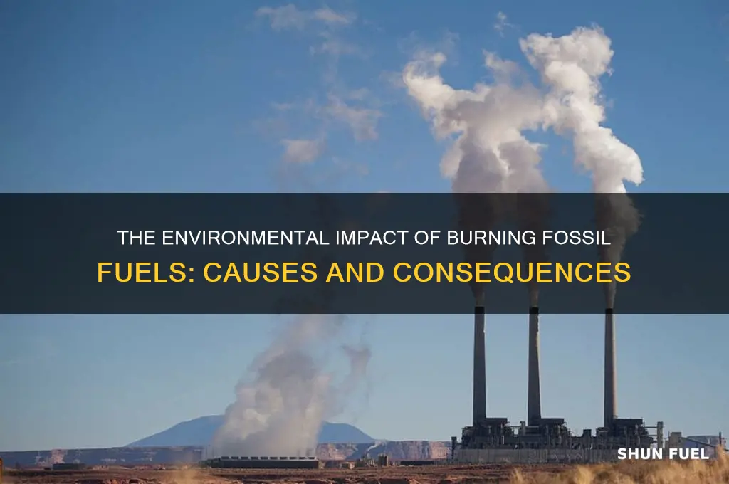 which describes the burning of fossil fuels