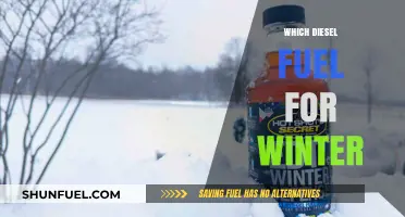 Winter Diesel: Choosing the Right Fuel