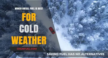 Winter Diesel: Choosing the Right Fuel for Cold Weather