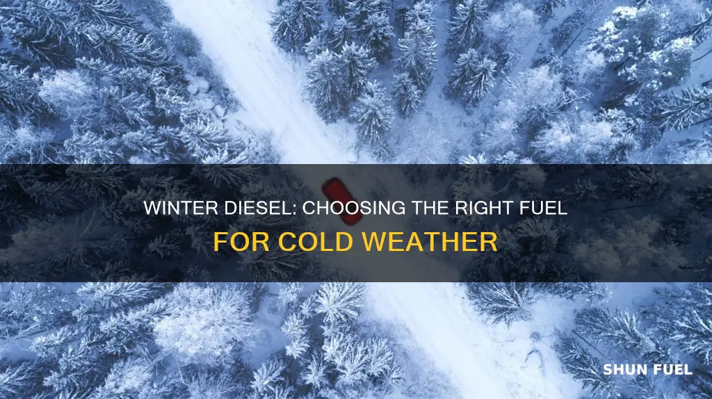 which diesel fuel is best for cold weather