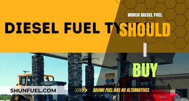 Diesel Fuel Buying Guide: Choosing the Right Type