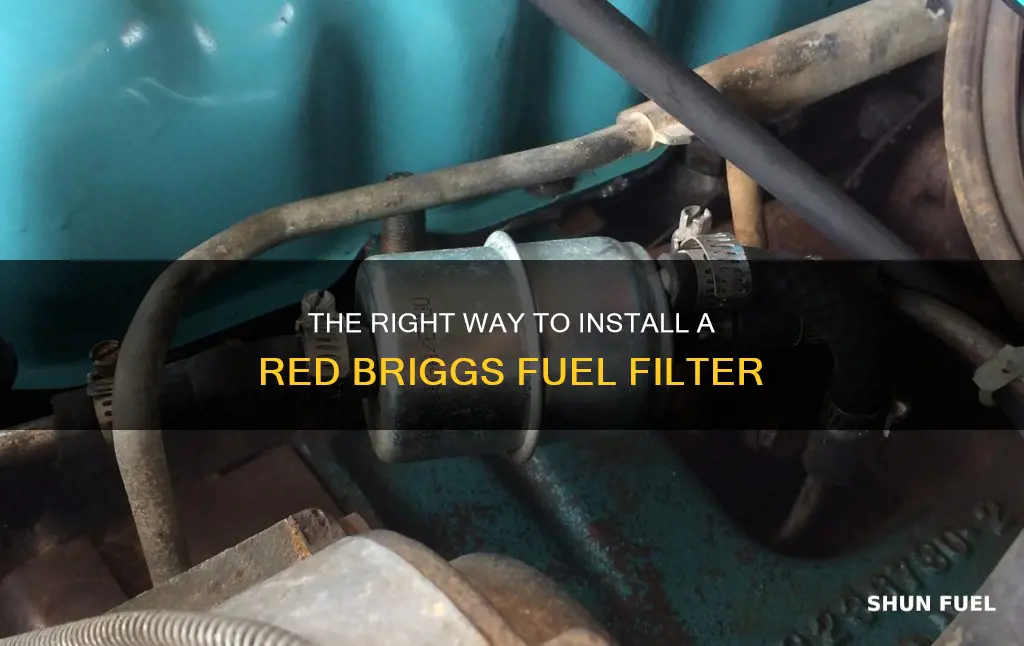which direction does red briggs fuel filter go