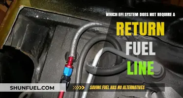 Efficient EFI Systems: No Return Fuel Line Required