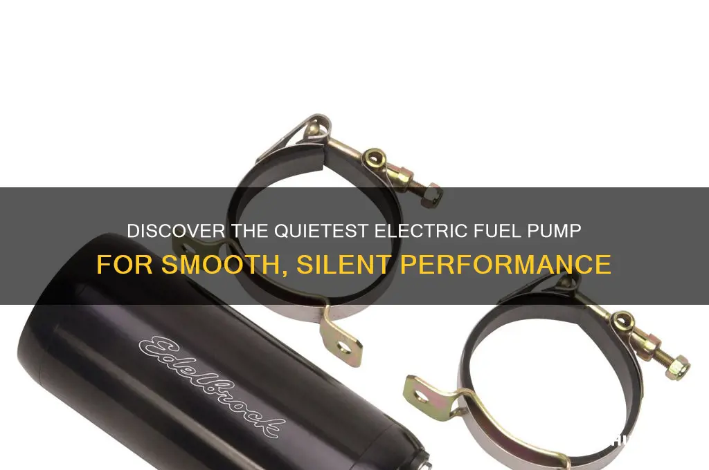 which electric fuel pump is the quietest