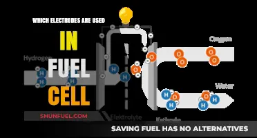 Exploring Fuel Cell Electrodes: Types, Materials, and Applications