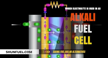 Alkali Fuel Cells: Exploring the Key Electrolyte for Efficient Energy Generation