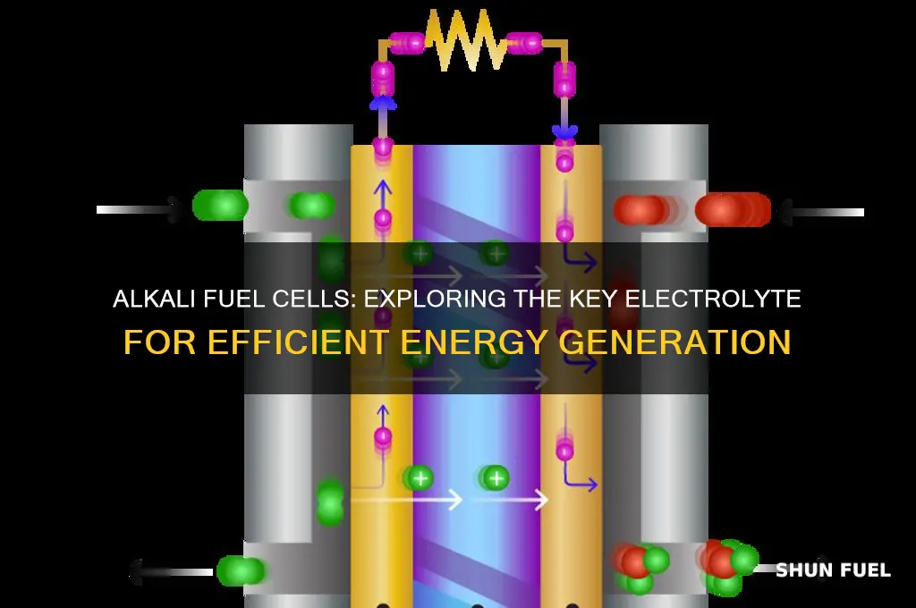 which electrolyte is used in an alkali fuel cell