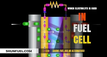 Exploring the Key Electrolyte Used in Fuel Cell Technology