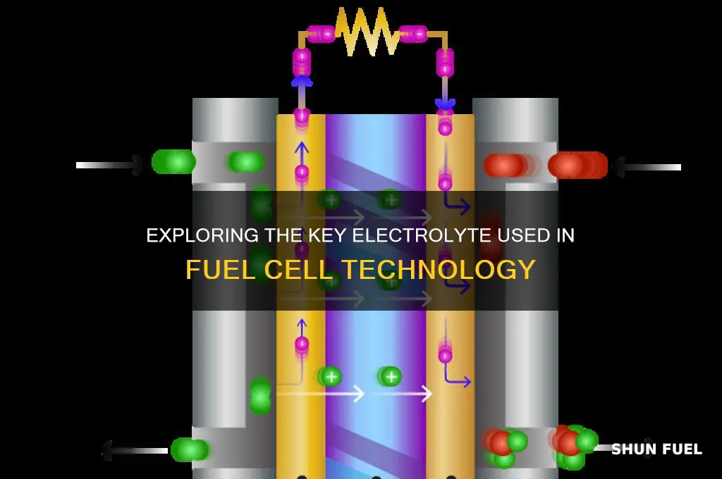which electrolyte is used in fuel cell