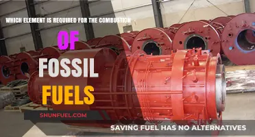 Essential Element for Fossil Fuel Combustion: Oxygen's Critical Role