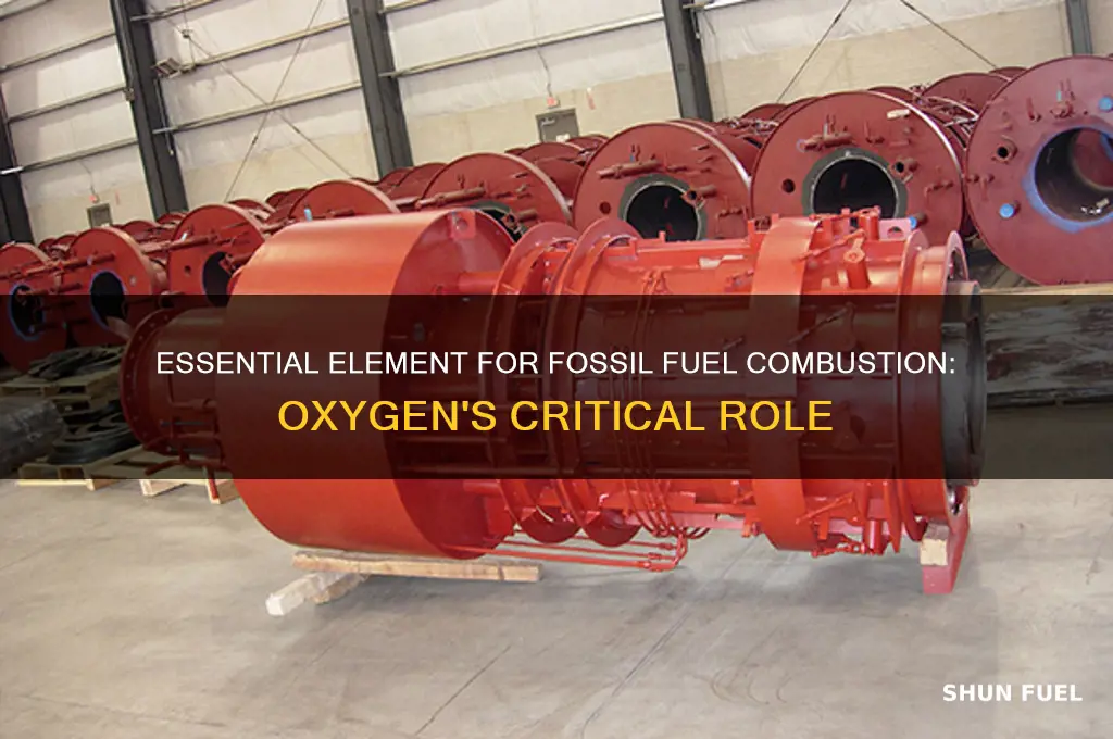 which element is required for the combustion of fossil fuels