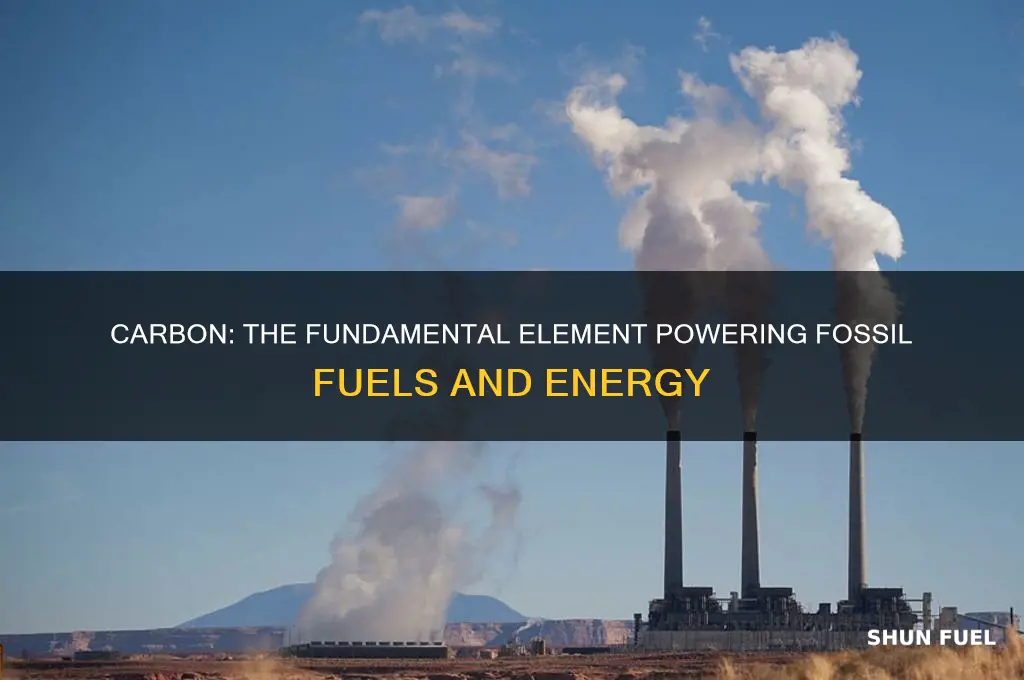 which element is the basis of fossil fuels