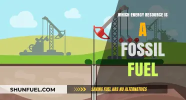 Fossil Fuels Explained: Identifying the Energy Resource Derived from Ancient Organisms