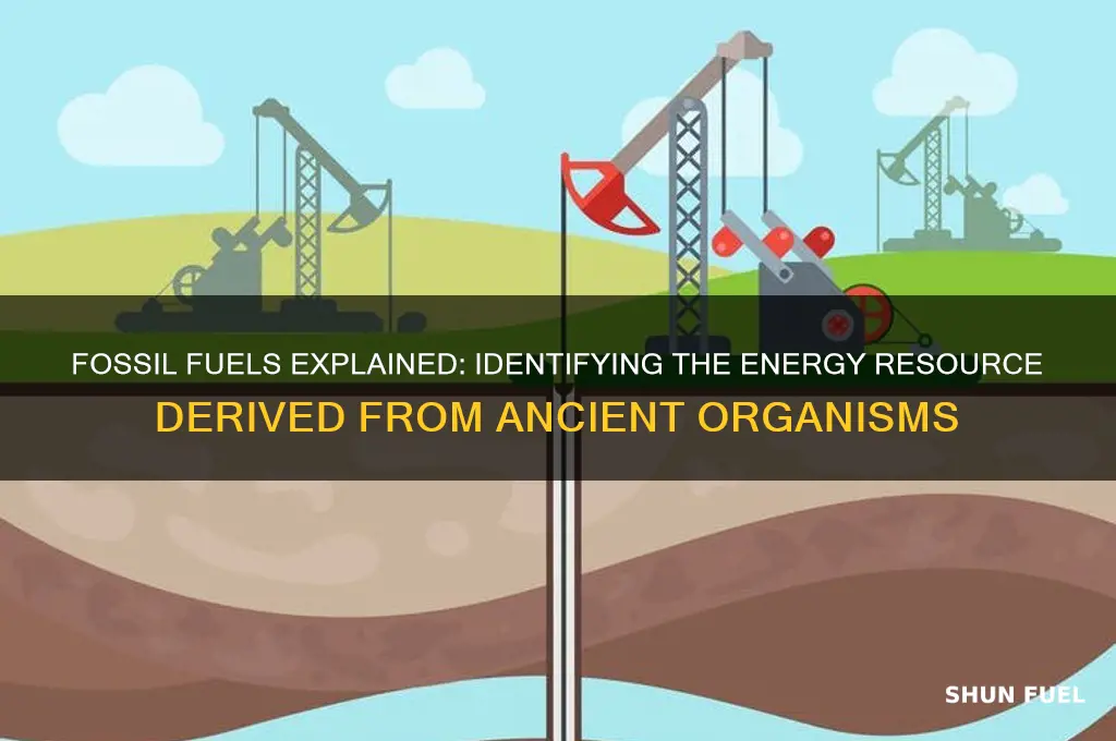 which energy resource is a fossil fuel
