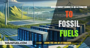 Exploring Renewable Energy Alternatives to Replace Fossil Fuels