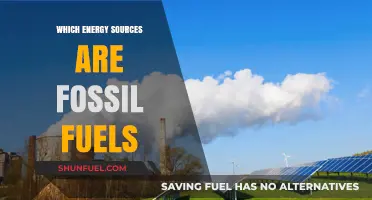 Understanding Fossil Fuels: Identifying the Energy Sources Powering Our World