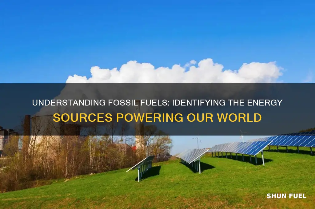 which energy sources are fossil fuels