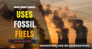 Fossil Fuels: Powering Energy Sources and Their Environmental Impact