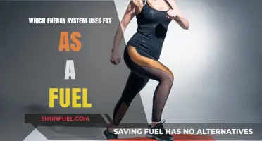 How Your Body Burns Fat: The Aerobic Energy System Explained