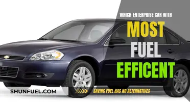 Fuel-Efficient Enterprise: Green Cars for Business