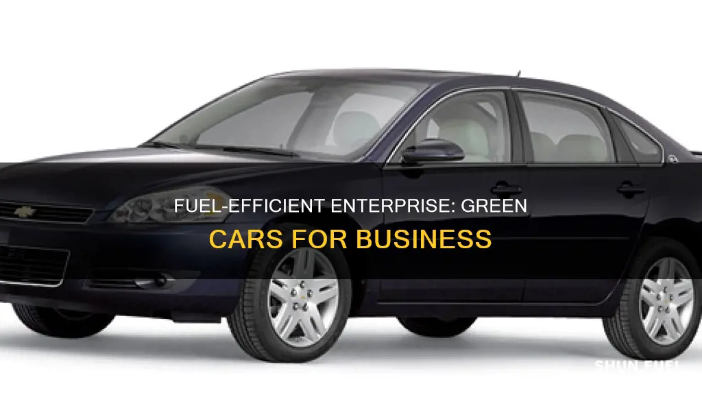 which enterprise car with most fuel efficent