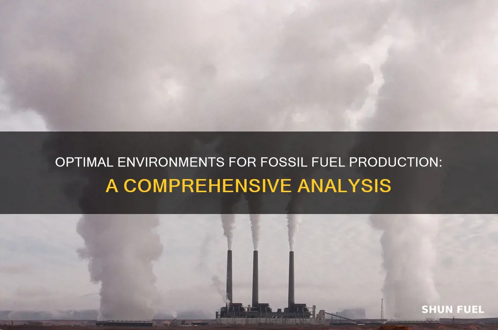 which environment is best to prodyce fossil fuels