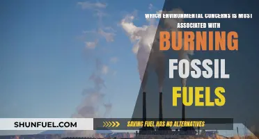 Burning Fossil Fuels: The Primary Environmental Concerns Explained
