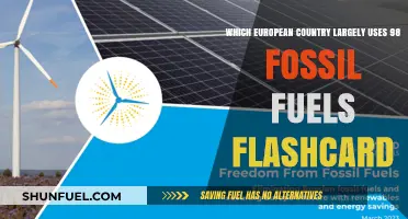 Europe's Fossil Fuel Reliance: Which Nation Still Uses 98%?