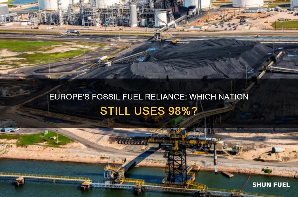 which european country largely uses 98 fossil fuels flashcard