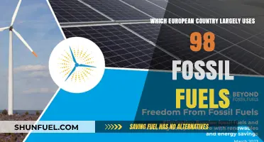 Europe's Fossil Fuel Reliance: Which Country Still Uses 98%?