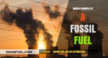 Understanding Fossil Fuels: Examples and Their Environmental Impact Explained