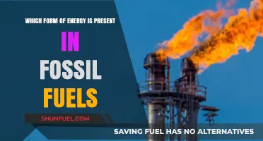 Unveiling the Energy Source: Fossil Fuels' Chemical Power Explained