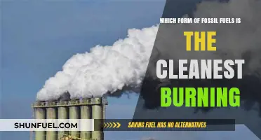 Cleanest Fossil Fuel: Comparing Natural Gas, Coal, and Oil Emissions
