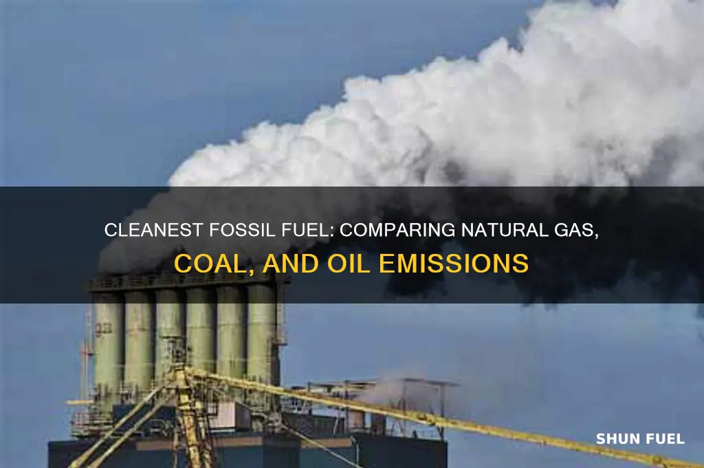 which form of fossil fuels is the cleanest burning